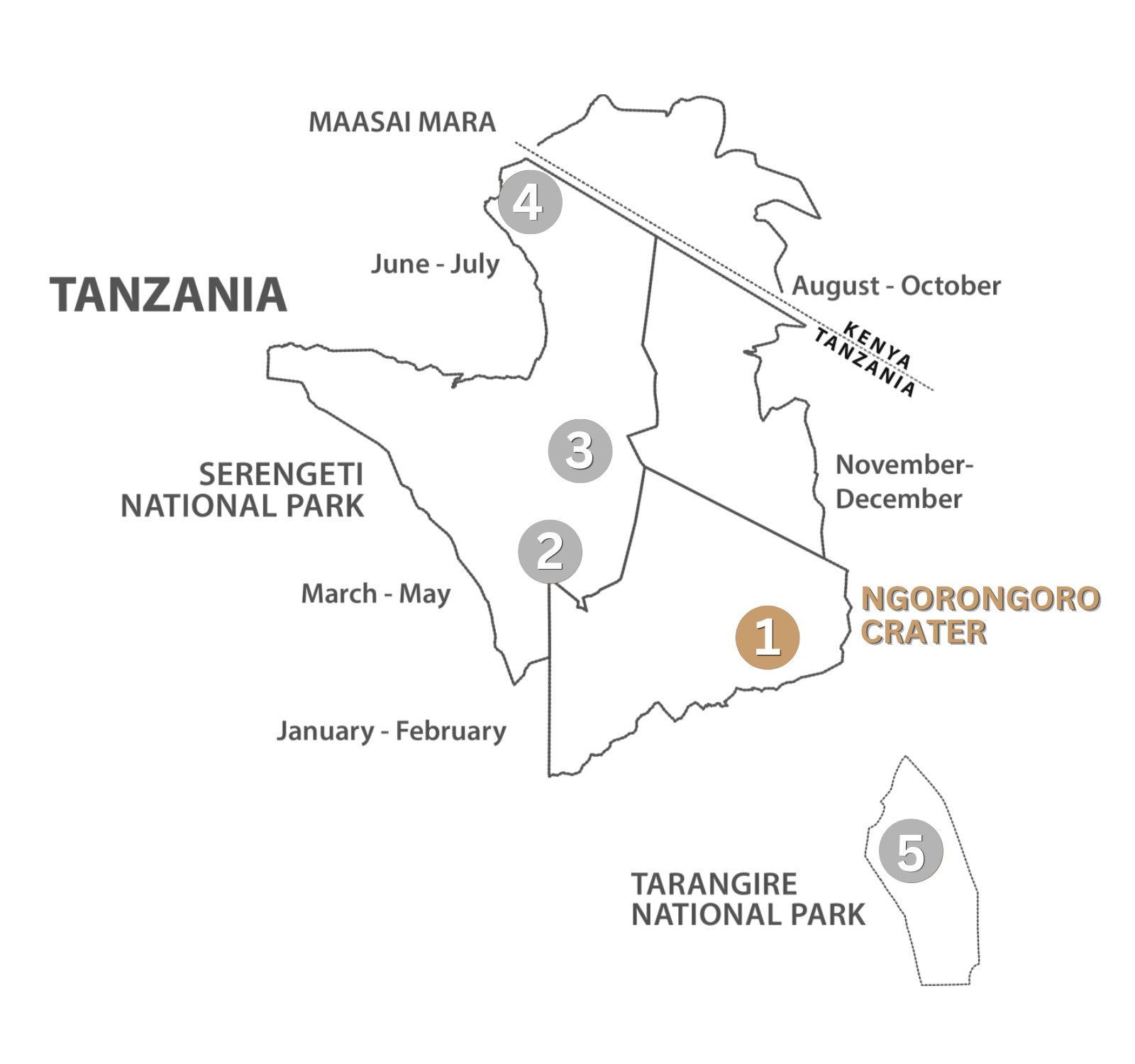 Ngorongoro Lion's Paw