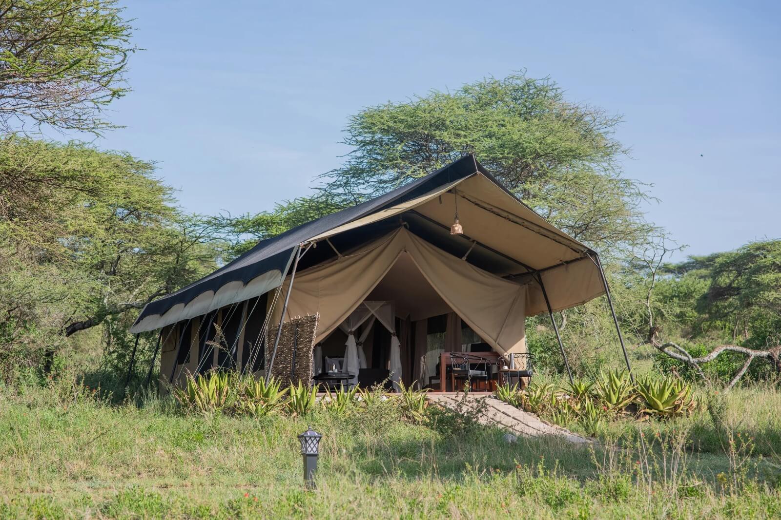 Serengeti Sametu Camp