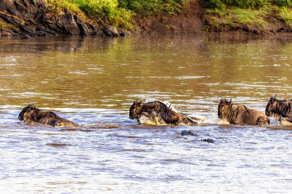 Top Tanzania Tourist Places | Best Time to Visit